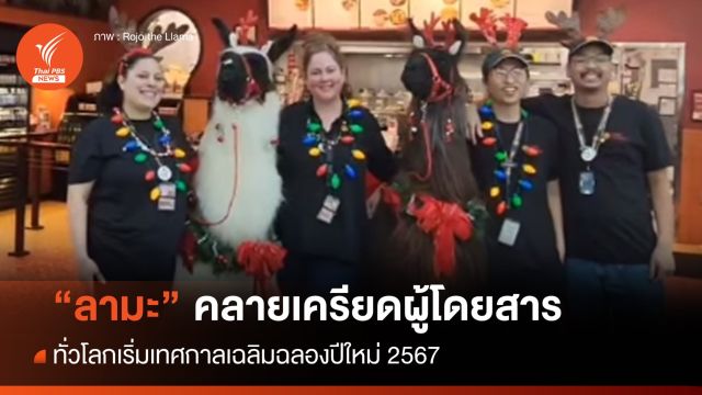 ทั่วโลกเริ่มฉลองปีใหม่ 2567 สหรัฐฯให้ "ลามะ" ส่งผู้โดยสารขึ้นเครื่อง