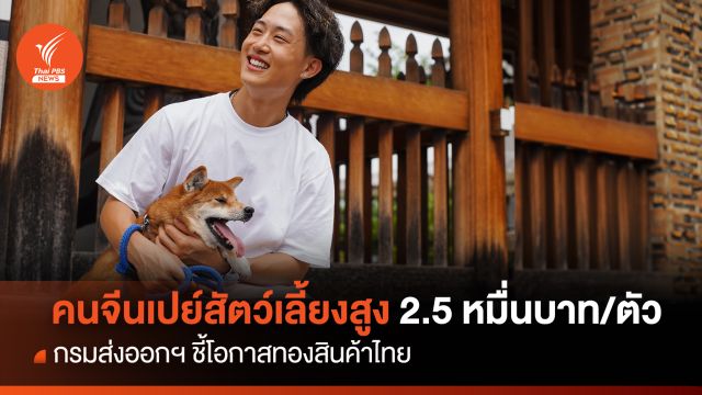 คนจีนใช้เงินเปย์สัตว์เลี้ยง สูงถึง2.5 หมื่นบาท ชี้โอกาสทองสินค้าไทย