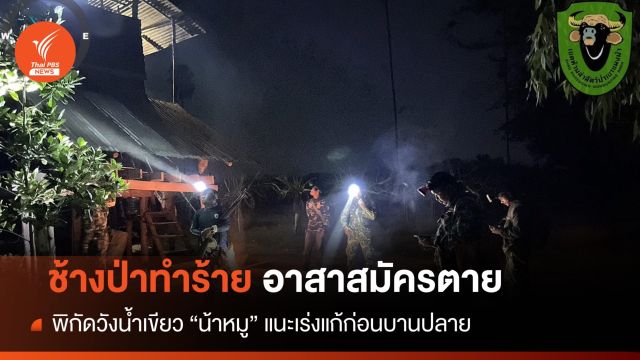 อาลัย! อาสาผลักดันสัตว์ป่าบ้านคลองทรายถูกช้างป่าทำร้ายตาย