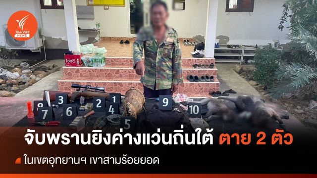 จับพรานยิงหัวค่างแว่นถิ่นใต้ ตาย 2 ตัว เขาสามร้อยยอด