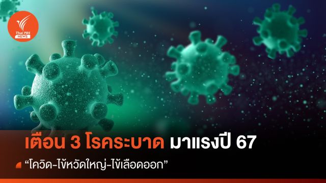 เตือน 3 โรคระบาดปี 67 "โควิด-ไข้หวัดใหญ่-ไข้เลือดออก" อีก 12 โรคเฝ้าระวัง