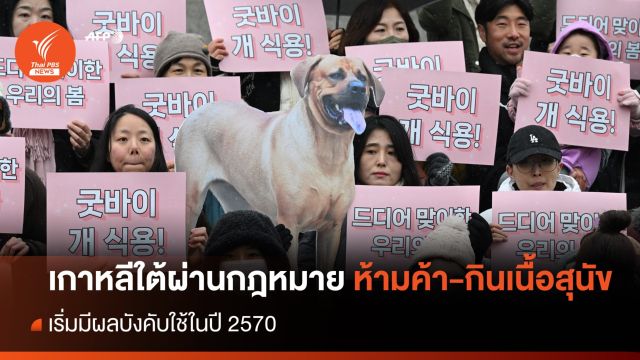 เกาหลีใต้ผ่านร่างกฎหมายห้ามค้า-บริโภคเนื้อสุนัข