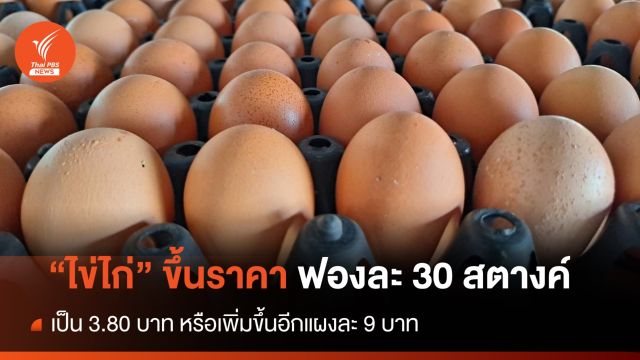 วันนี้ "ไข่ไก่" ปรับขึ้นราคาฟองละ 30 สตางค์ หรือขึ้นแผงละ 9 บาท