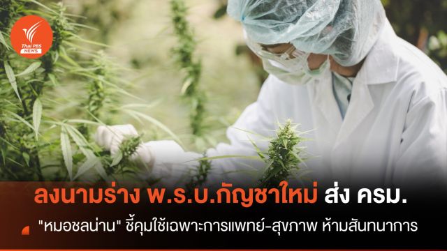 "หมอชลน่าน" ลงนาม "ร่าง พ.ร.บ.กัญชาใหม่" ห้ามสันทนาการ 