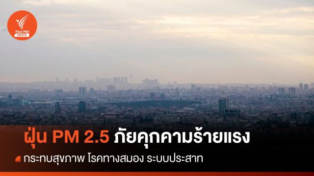 ฝุ่น PM 2.5 ภัยร้ายต่อสมอง-ระบบประสาท