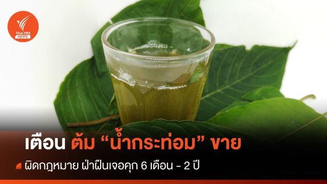 เตือน "ต้มน้ำกระท่อมขาย" ผิดกฎหมาย ฝ่าฝืนเจอคุก 6 เดือน - 2 ปี 