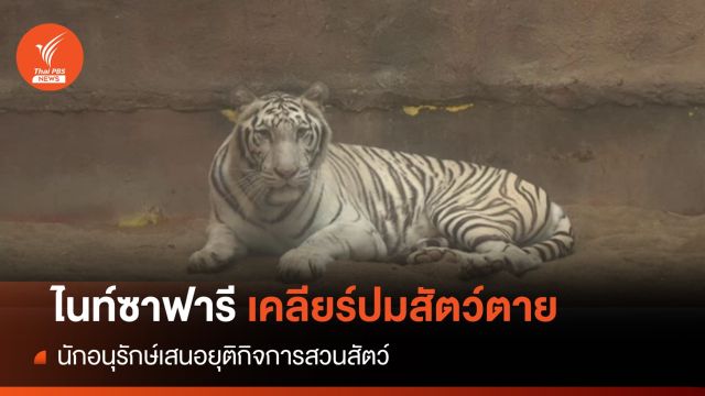 "ไนท์ซาฟารี" เคลียร์ปมสัตว์ตาย-นักอนุรักษ์ จี้ยุติกิจการสวนสัตว์