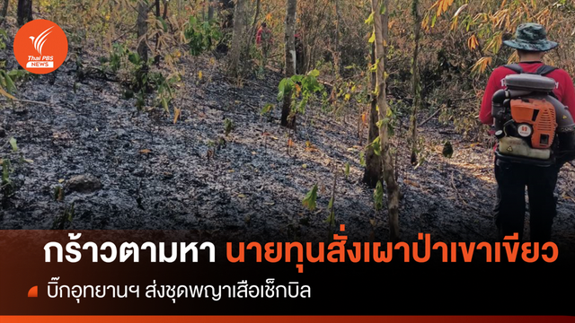 บิ๊กอุทยานฯ สั่งล่านายทุนจ้างเผาป่าเขาเขียว-เขาชมภู่ 