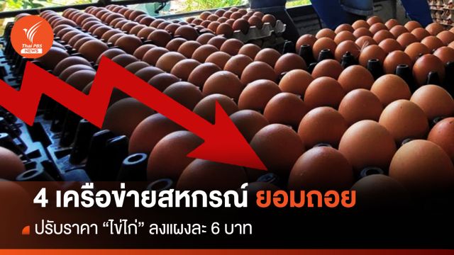4 เครือข่ายสหกรณ์ ยอมถอยปรับราคา “ไข่ไก่” ลงแผงละ 6 บาท