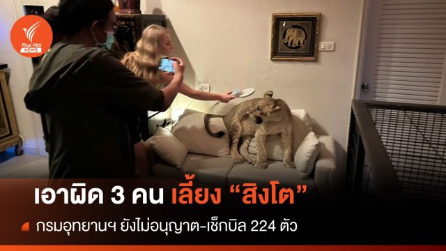 ผิด 3 คนเลี้ยง "สิงโต" ไม่ได้รับอนุญาต-ฟาร์มโดนข้อหาเคลื่อนย้าย