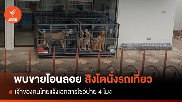 รอเอกสาร! เจ้าของ "สิงโตนั่งรถเที่ยว" พบขายโอนลอย