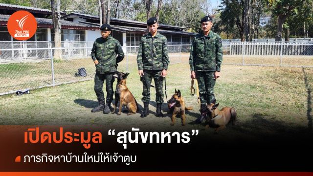 ประมูลสุนัขทหาร ภารกิจหาบ้านใหม่ให้เจ้าตูบ