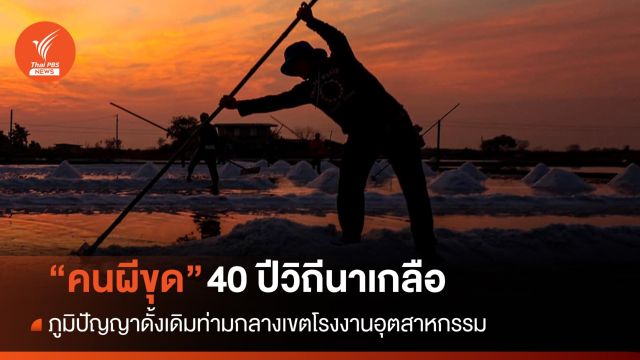 "คนผีขุด" 40 ปี วิถีนาเกลือฉะเชิงเทรา