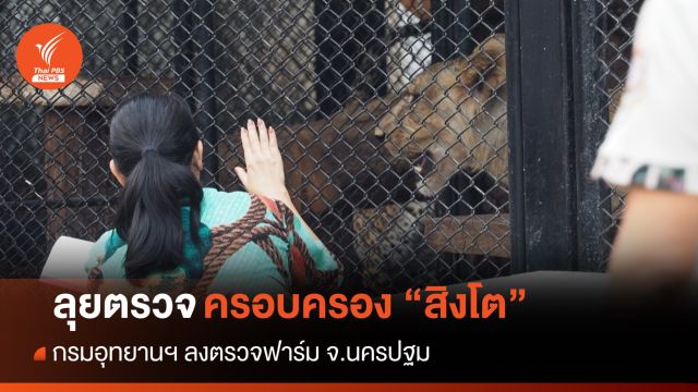 กรมอุทยานฯ ลุยตรวจผู้ครอบครอง "สิงโต" ที่นครปฐม
