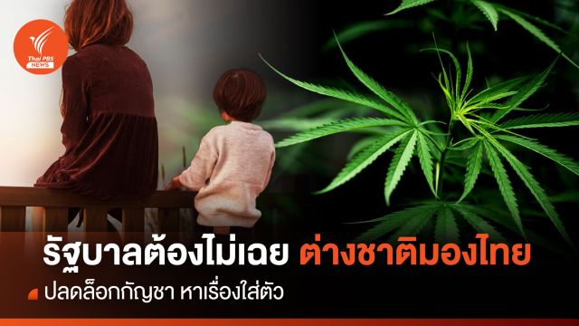 รัฐบาลต้องไม่เฉย ต่างชาติมองไทย ปลดล็อกกัญชา หาเรื่องใส่ตัว