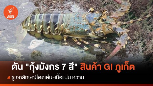 ดัน "กุ้งมังกร 7 สี" สินค้า GI ภูเก็ต ชูเอกลักษณ์-รสชาติโดดเด่น
