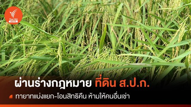 ครม.เคาะร่างกฎหมายแบ่งแยก-โอนสิทธิที่ดิน ส.ป.ก.