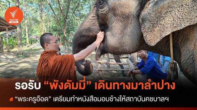 พระครูอ๊อดรอรับ “พังดัมมี่” เร่งทำหนังสือมอบให้สถาบันคชบาลฯ