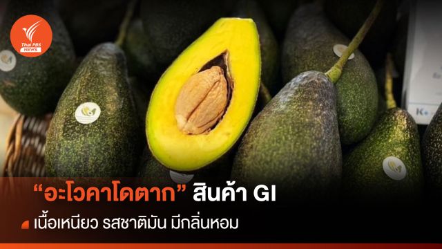 “อะโวคาโดตาก” สินค้า GI เนื้อเหนียว รสชาติมัน มีกลิ่นหอม