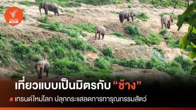 เทรนด์ใหม่ของโลก! การท่องเที่ยวที่เป็นมิตรกับ "ช้าง"