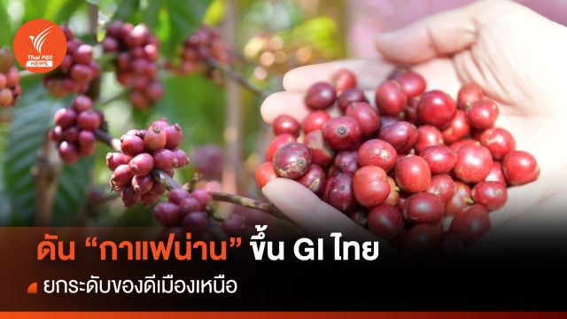 ดัน “กาแฟน่าน” ขึ้น GI ไทย ยกระดับของดีเมืองเหนือ
