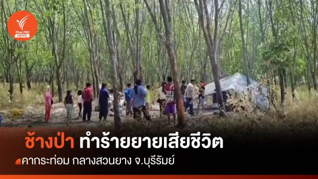 ช้างป่าทำร้ายยายวัย 70 ปี เสียชีวิตคากระท่อม
