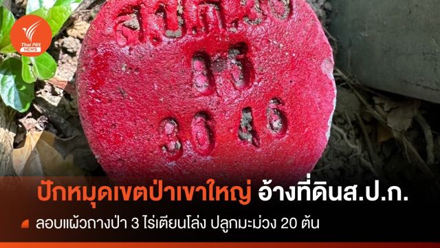 จับชาย 5 คนลอบถาง ปักหมุดเขตป่าเขาใหญ่ อ้างที่ดินส.ป.ก.
