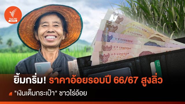 ยิ้มกริ่ม ! ราคาอ้อยรอบปี 66/67 สูงลิ่ว"เงินเต็มกระเป๋า"ชาวไร่อ้อย 