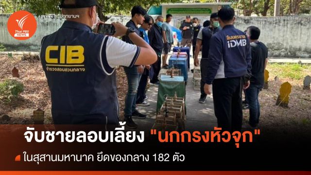 จับชายลอบเลี้ยง "นกกรงหัวจุก" ยึดของกลาง 182 ตัว
