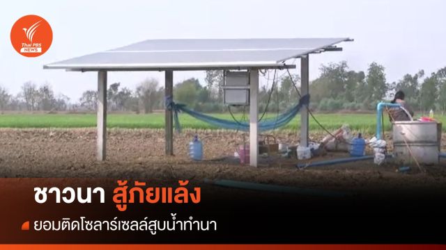 ชาวนาสู้ภัยแล้ง ยอมติด "โซลาร์เซลล์" สูบน้ำทำนา