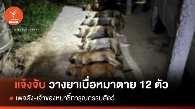 เพจดังแจ้งเอาผิดลอบวางยาหมาตาย 12 รอดแค่ 2 ตัว 
