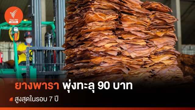 ยางพาราพุ่งทะลุ 90 บาท สูงสุดในรอบ 7 ปี