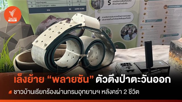 เปิดแผนย้าย “พลายซัน” ตัวตึงป่าตะวันออกคร่า 2 ชีวิต