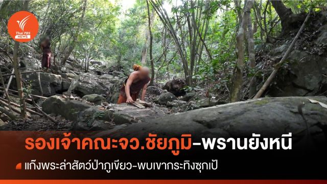 พระวัดดังแก๊งล่าสัตว์ป่าภูเขียวยังหนี-พบเขากระทิงซุกเป้