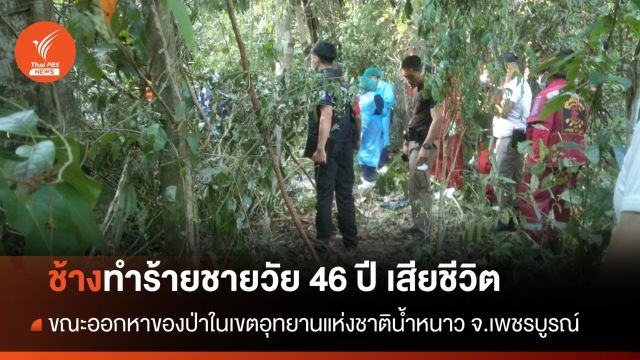 ช้างทำร้ายชายวัย 46 ปี เสียชีวิต ขณะหาของป่าในอุทยานแห่งชาติน้ำหนาว