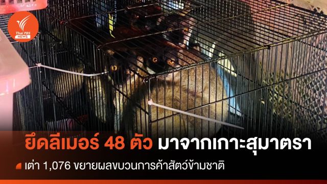 สกัดแก๊งค้าสัตว์ข้ามชาติ ยึด "ลีเมอร์-เต่า" กว่า 1 พันตัว  
