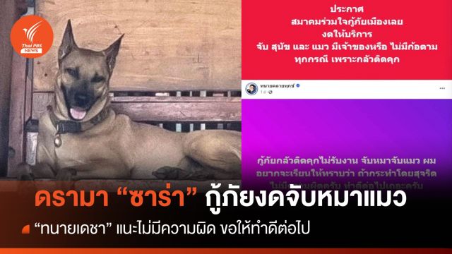 กลัวติดคุก! ดรามา "ซาร่า" กู้ภัยประกาศงดจับหมา-แมว
