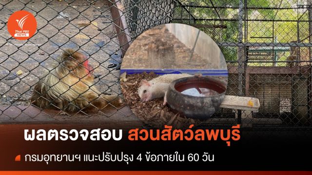 กรมอุทยานฯ ตรวจสอบสวนสัตว์ลพบุรี แนะปรับปรุง 4 ข้อใน 60 วัน 