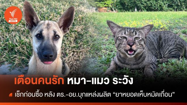 บุกแหล่งผลิต "ยาหยอดเห็บหมัดสัตว์เถื่อน" ยึดของกลางกว่า 40,450 ชิ้น