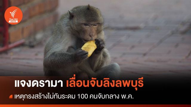 แจงดรามา เลื่อนจับ “ลิงลพบุรี” กลางเดือนพ.ค.