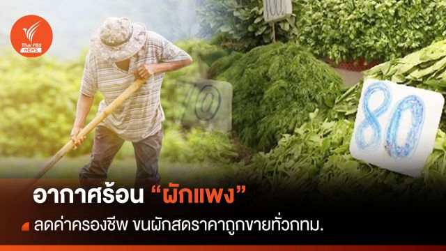 อากาศร้อน "ผักแพง" พาณิชย์ ลดค่าครองชีพ ขนผักราคาถูกขายทั่วกทม.