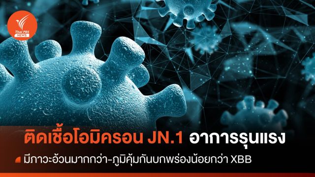 ติดเชื้อโอมิครอน JN.1 อาการรุนแรง มีภาวะอ้วนมากกว่า-ภูมิคุ้มกันบกพร่องน้อยกว่า XBB