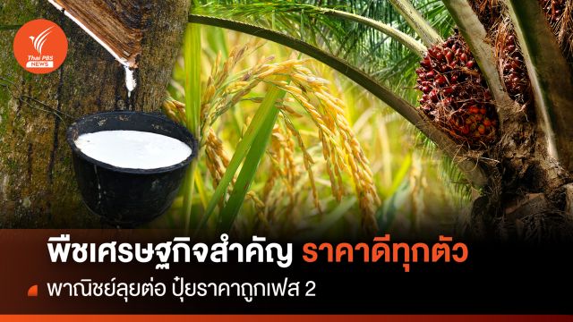 พืชสำคัญเศรษฐกิจ ราคาดีทุกตัว พาณิชย์ลุยต่อปุ๋ยราคาถูกเฟส 2