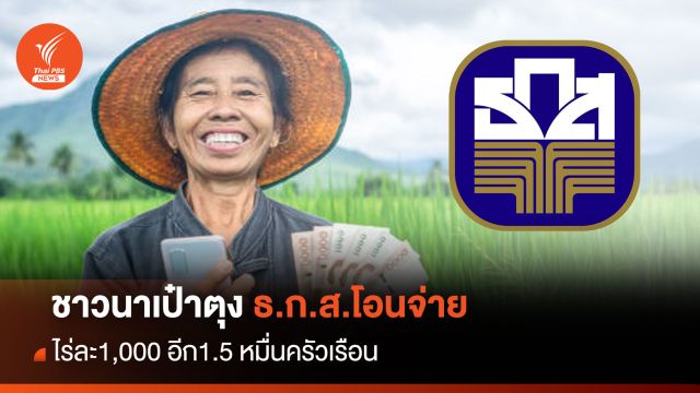 ชาวนาเป๋าตุง ธ.ก.ส.โอนจ่ายไร่ละ 1,000 อีก 1.5 หมื่นครัวเรือน