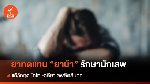 ยาทดแทน "ยาบ้า" รักษานักเสพ แก้วิกฤตนักโทษคดียาเสพติดล้นคุก 