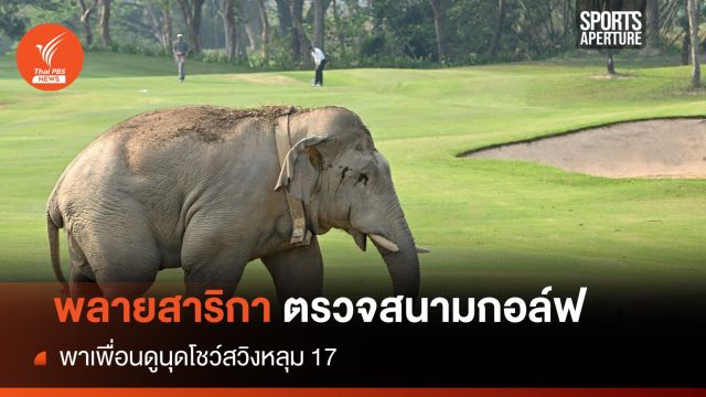 ช็อตเด็ดฮีลใจสายกีฬา "พลายสาริกา" เดินตรวจสนามกอล์ฟ