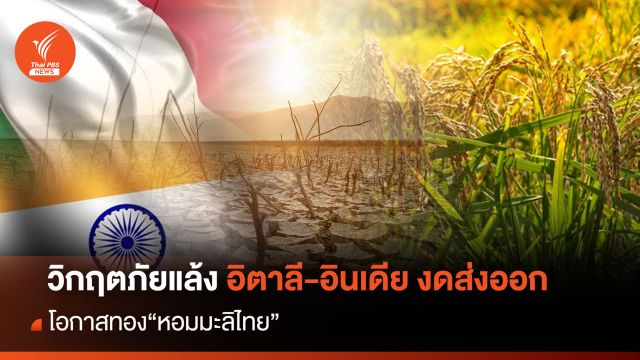 วิกฤตภัยแล้งอิตาลี-อินเดียงดส่งออก โอกาสทอง“หอมมะลิไทย”