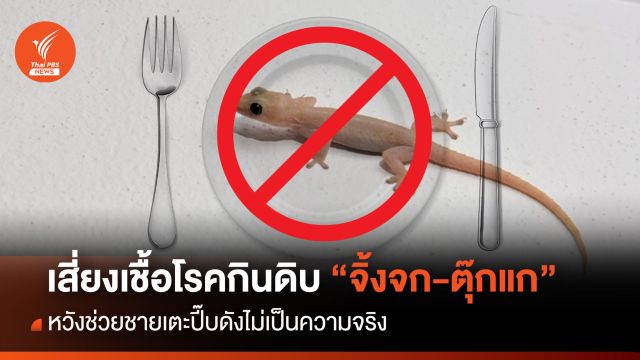 อย่าเลียนแบบกินดิบ "จิ้งจก-ตุ๊กแก" หวังเตะปี๊บดัง-เสี่ยงเชื้อโรค