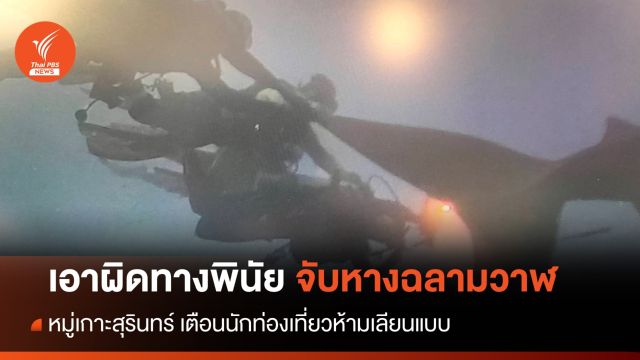 "อุทยาน" แจ้งเอาผิด "ทางพินัย" นักท่องเที่ยวจับหางฉลามวาฬ