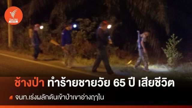 ช้างป่าทำร้ายชายวัย 65 ปี เสียชีวิต จนท.เร่งผลักดันเข้าป่าเขาอ่างฤๅไน